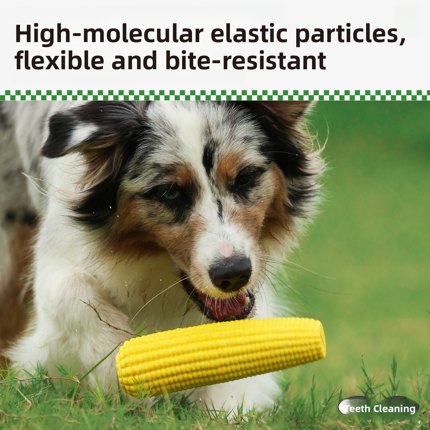 QZee Durable ETPU Corn Dog Toy - Corn Dog Stick recensione e prezzo
